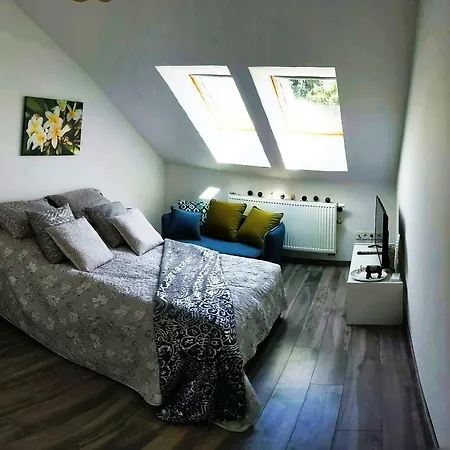 Frangipani シオーフォク